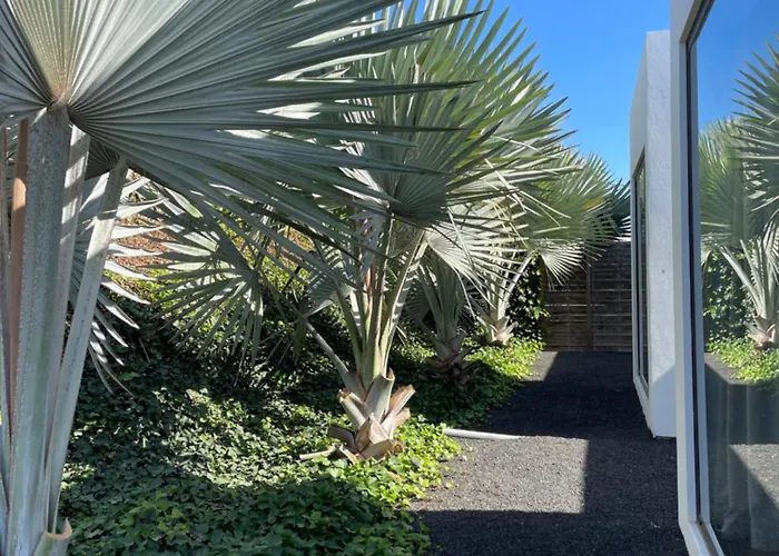 Duna Colorada 拉哈雷斯